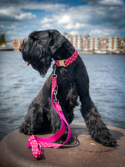 Hundehalsband Polkadots XL: 4cm breit, 35-50cm Umfang